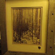 Framed painting
