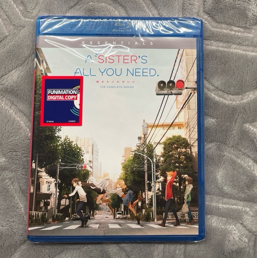 A sister’s all you need the complete series