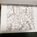 Various Adult Coloring Books