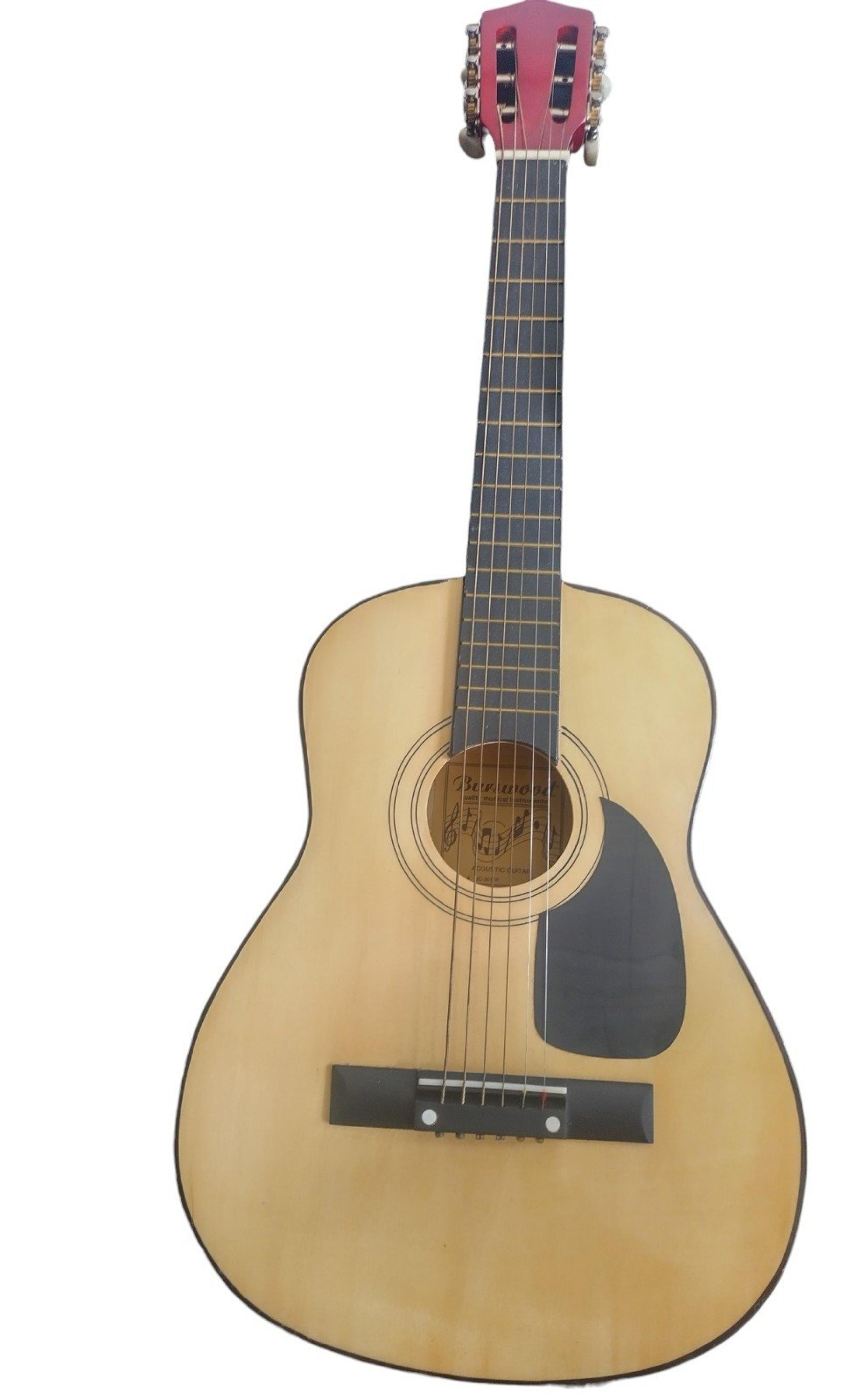 Lyon washburne acoustic guitar euc