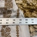 Paani Womens Sizze Small White and Tan Cotton Boho Style Maxi Dress NWT