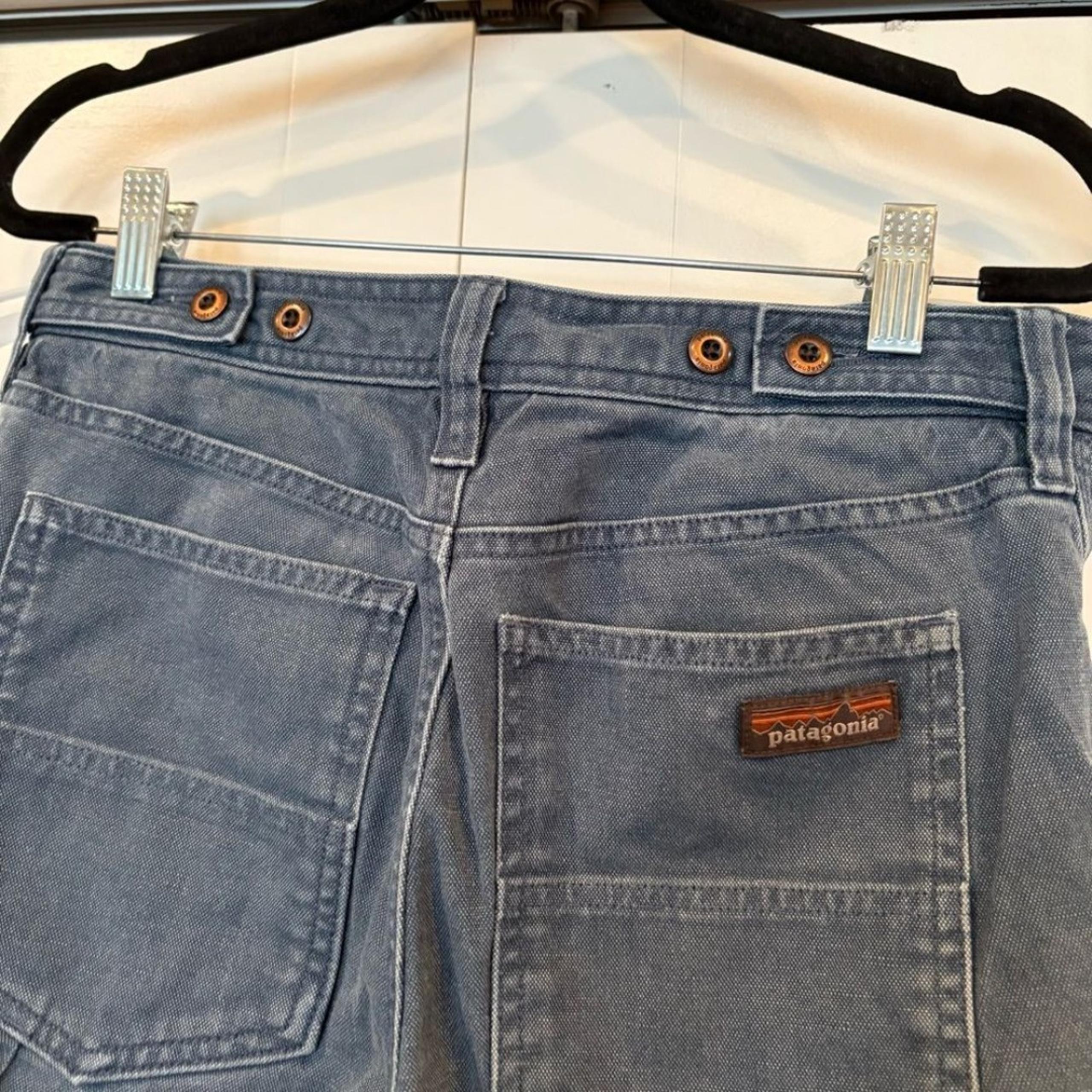 Patagonia Blue/Gray Cargo Pants Size 8