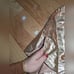NWT A.L.C. RYDER SHORTS