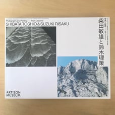 Toshio Shibata and Risaku Suzuki: Photography and Painting
