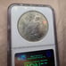 1924 MS BU Unc Peace Silver Dollar NGC