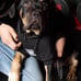Dixxon Flannel “FUR FRIENDS IN LOW PLACES DOG HOODIE” Size Medium