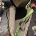 Vintage Riedell RS-1000 Speed Skates Mens 9 Size