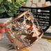 Bath and body Works candle holder Gingerbread winter scene Bakery