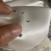 Vintage Mr Hi's Satin Pillbox Half Bow/Flower, & Netting With Rhinestones