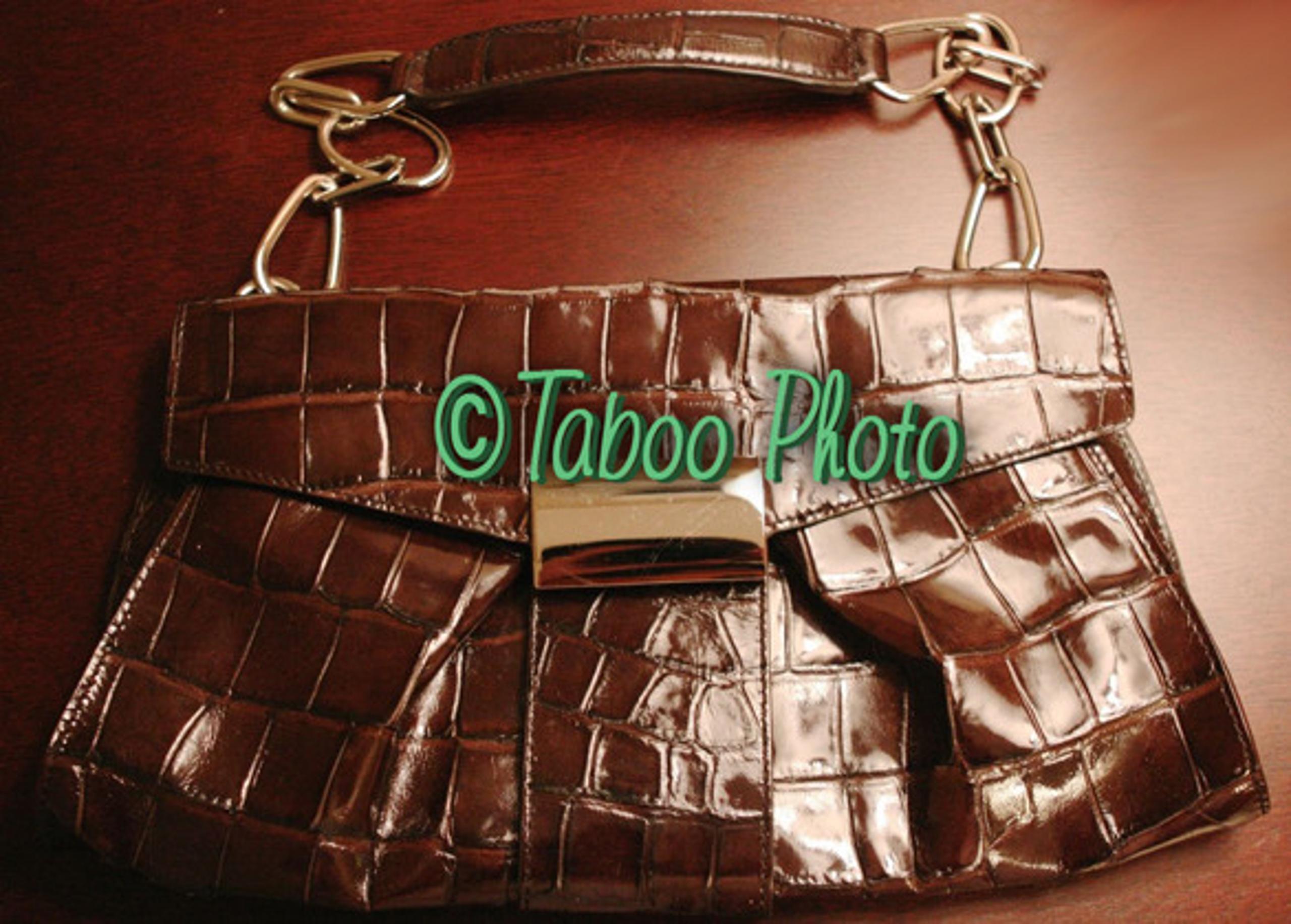 kooba Brown leather Small handbag Silver Chain Shoulder Bag Purse Crocodile