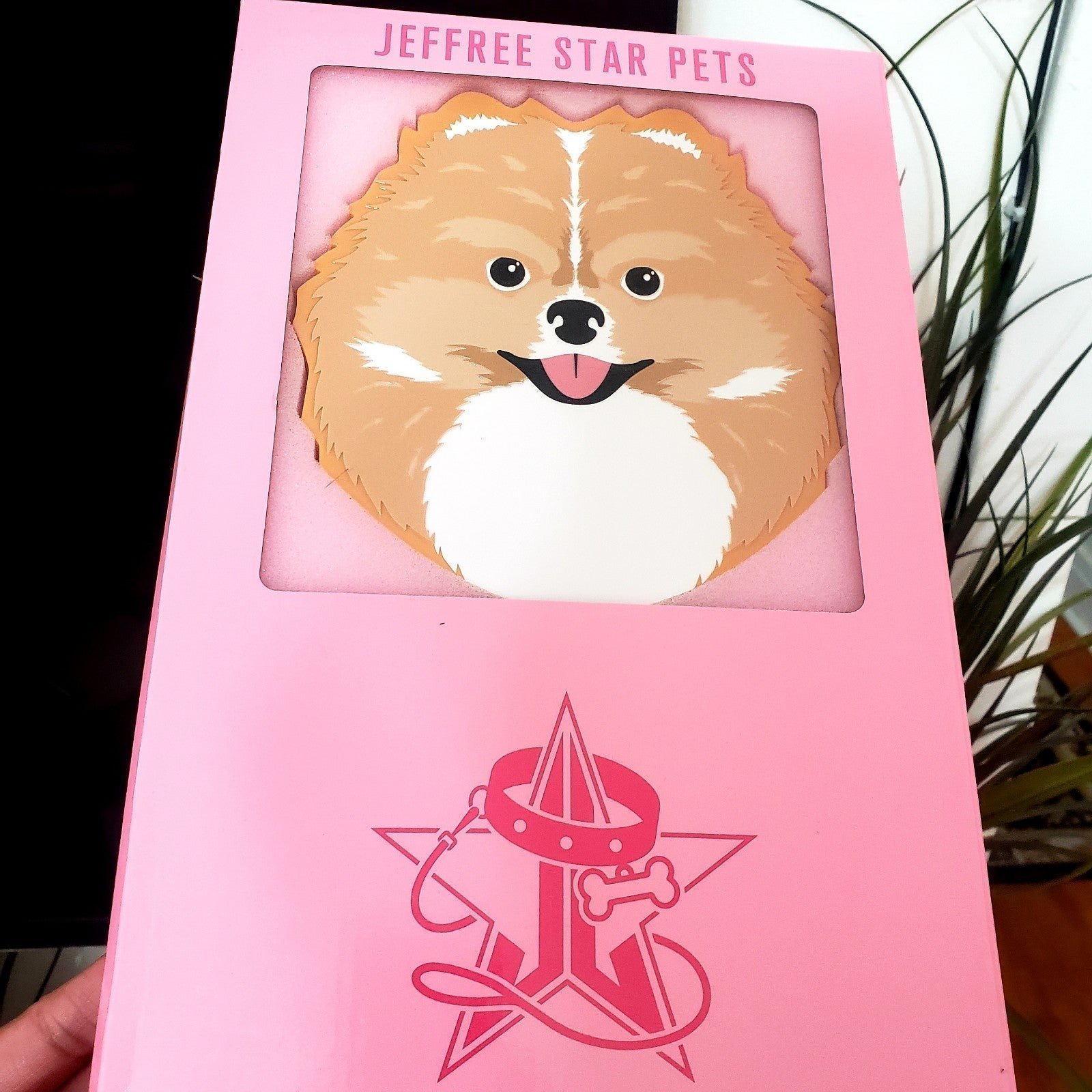 JEFFREE STAR PETS MIRROR DRAMA