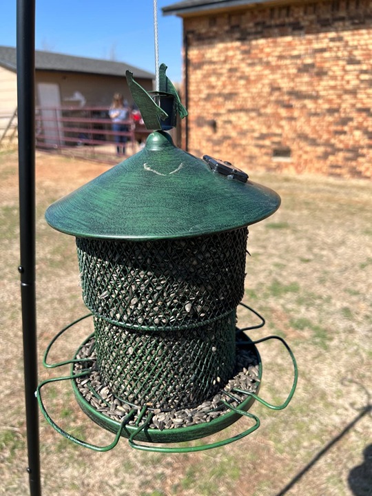 Metal Bird Feeders for Outside Hanging,Squirrel Proof Wild Bird Feeders for Card