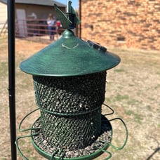 Metal Bird Feeders for Outside Hanging,Squirrel Proof Wild Bird Feeders for Card