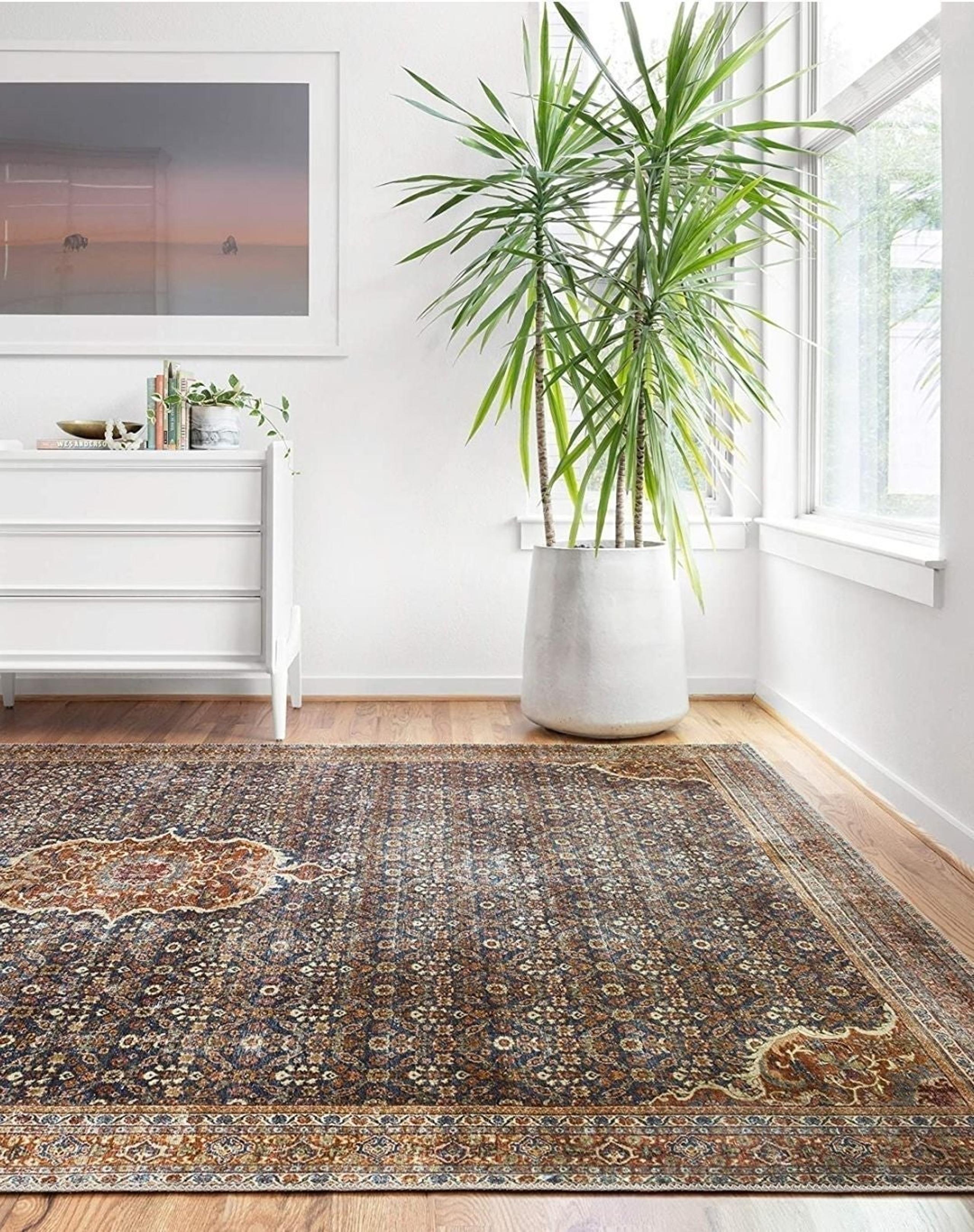 Loloi II  9' x 12' Huge Area Rug