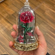 Belle fragrance plug bath and body works