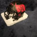 Warren Sapp Signed Mini helmet
