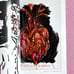 Libertine Dune No 6 / Sofia Coppola, Suzuki Chika
