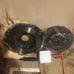 New never used clutch kit for 2001 Honda accord