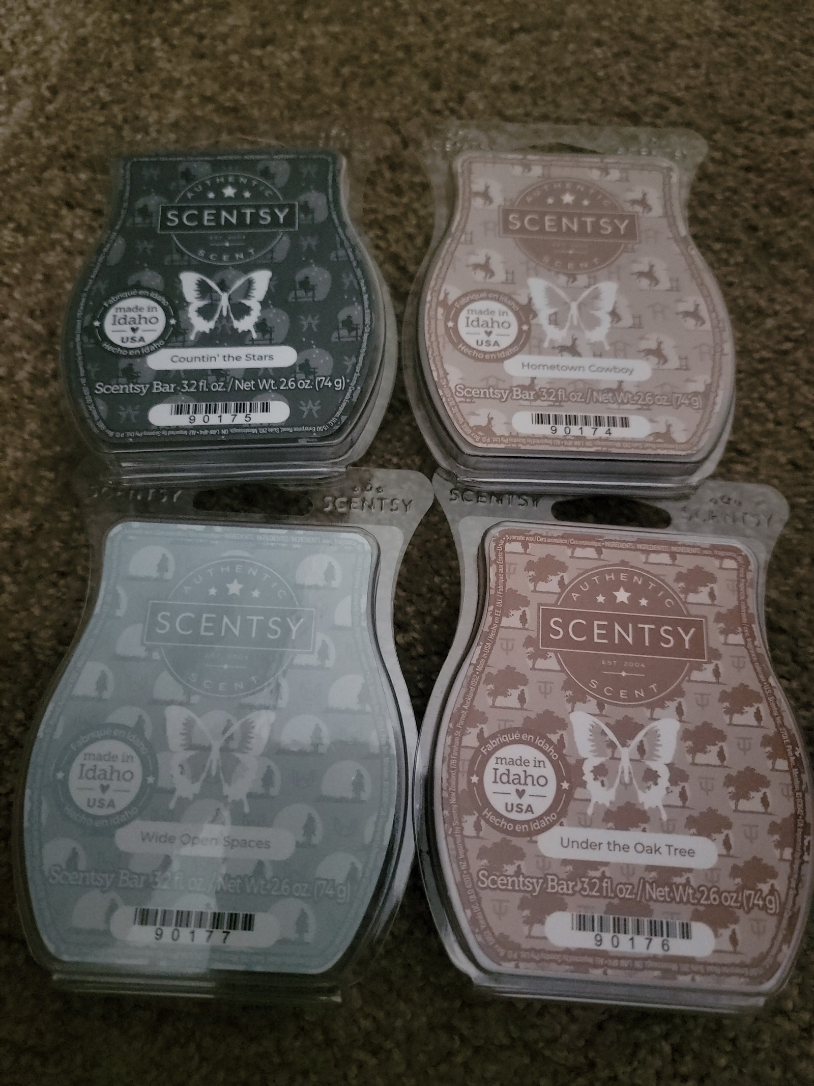 Scentsy open plains wax