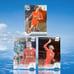 Liverpool F.C. Team Card Lot (24)