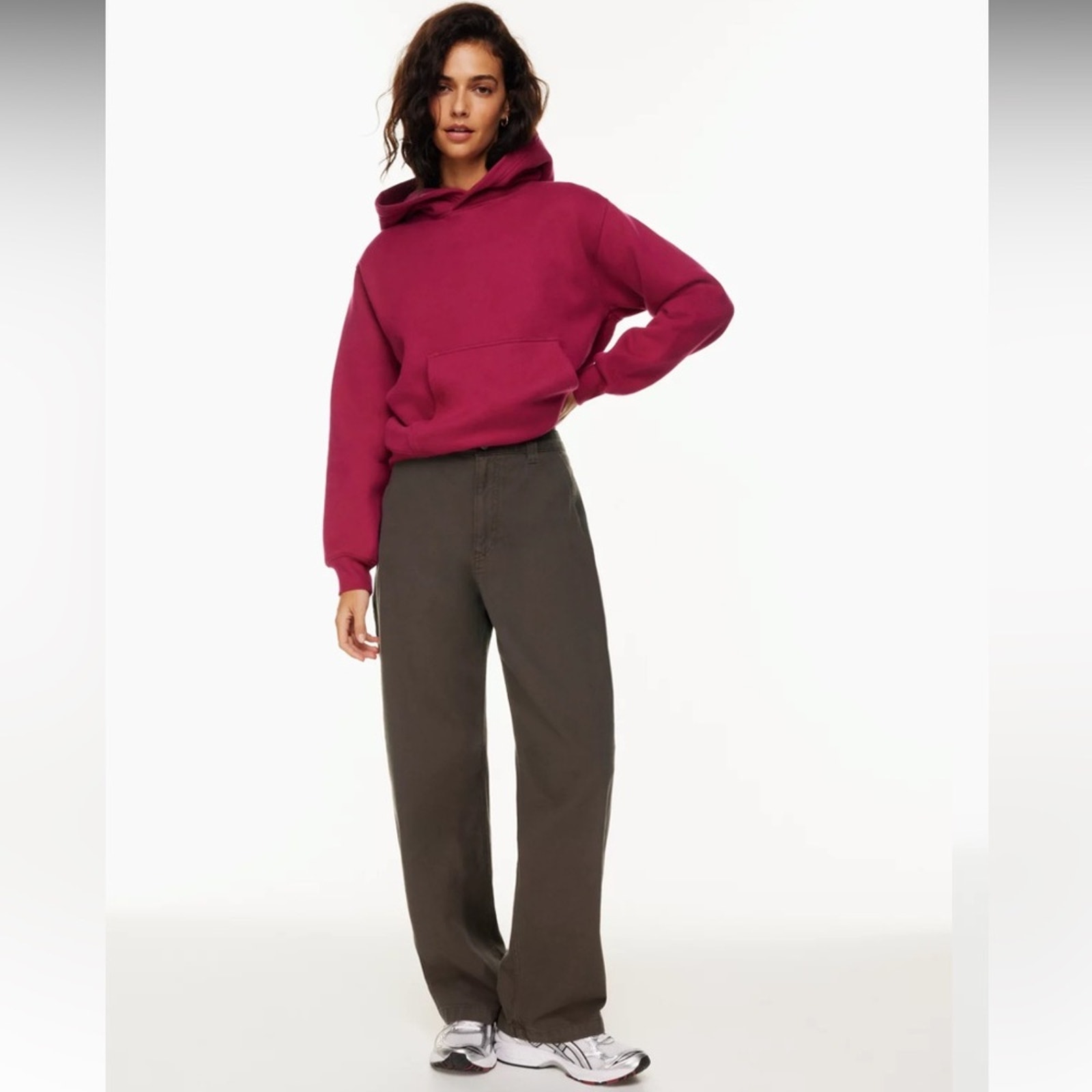 TNA Aritzia Greenwich High Waisted Carpenter Cargo Pants In Spiced Burgundy