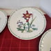 MIKASA MAXIMA CAJ14 SUMMER SYMPHONY 10.75 inch Dinner Plates (4)