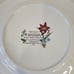 MIKASA MAXIMA CAJ14 SUMMER SYMPHONY 10.75 inch Dinner Plates (4)