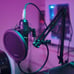 Studio Condenser Microphone Bundle