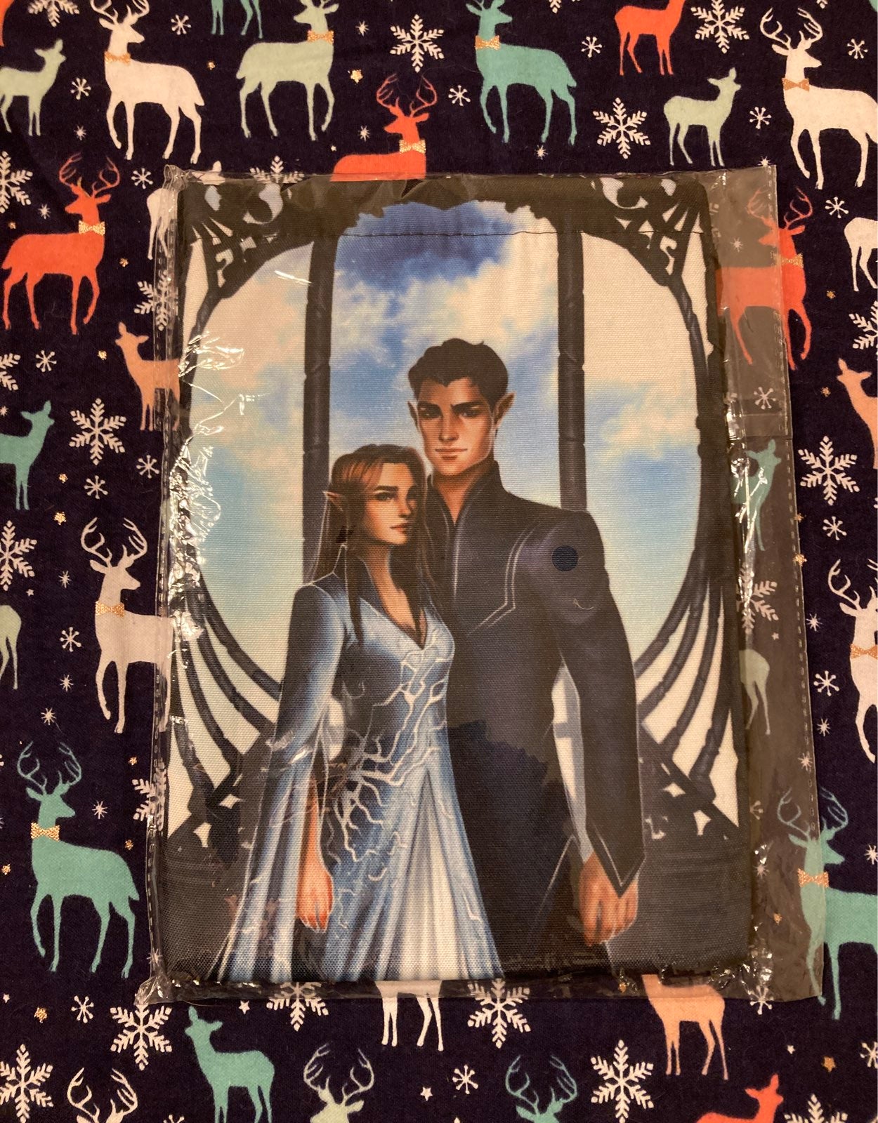 ACOTAR Book Sleeve - Sarah J Maas - SJM - Feysand
