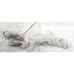 Generation Lighting Kea 13 Pendant Light in Brushed Nickel