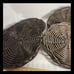 Rustic Wicker Ratan Charger Plate Set Of 4