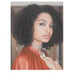 Black Crly Beauty Wig