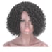 Black Crly Beauty Wig