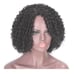 Black Crly Beauty Wig
