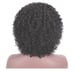 Black Crly Beauty Wig