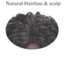 Black Crly Beauty Wig
