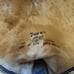 Tony Lama Brown Vaquero Cowboy Boots size 7.5 - Like New! Retail 215