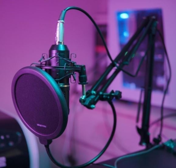 Studio Recording Microphone
