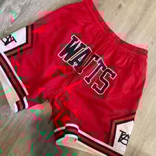 Chicago Bulls Basketball Shorts