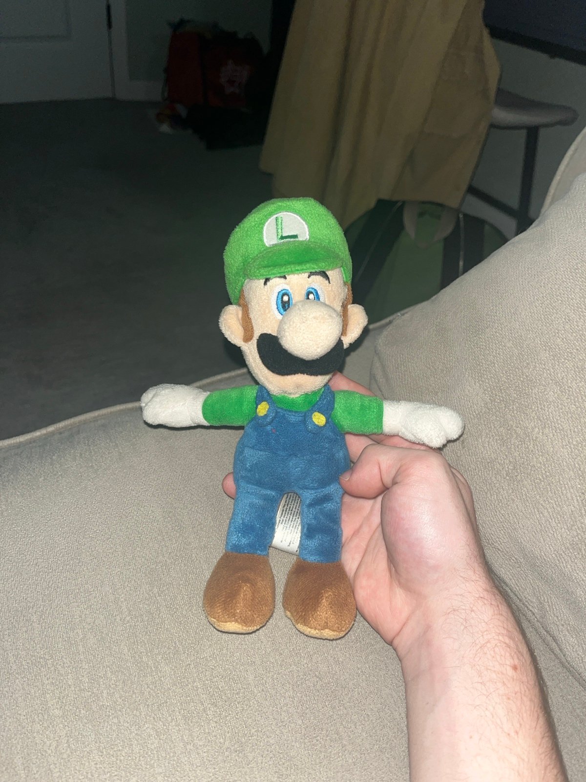 New Super Mario Bros. Wii Luigi plush