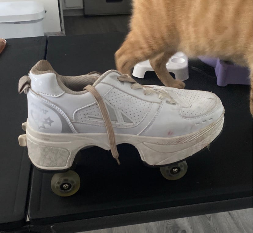 Roller Skate Shoes