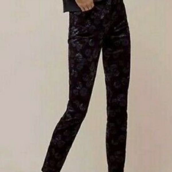 NWOT Anthropologie Pilcro and the Letterpress script velvet skinny floral pants