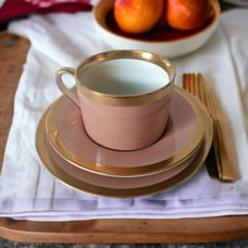 FITZ & FLOYD VERSAILLES DUSTY ROSE 3 Piece Place Setting
