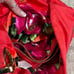 Bobby Schandra Red Black Purse Gold Hand Bag Buckle Canvas 13x13 New