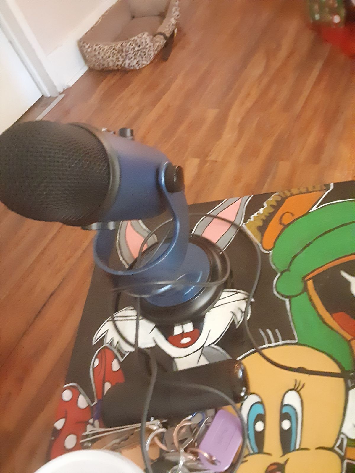 Tv, microphone