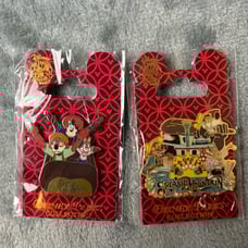 Disney Splash Mountain Trading Pins