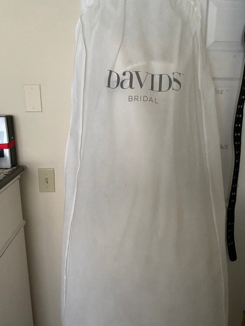 wedding dressand veil