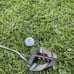 Cleveland Golf Launcher Womens golf Set Cougar Golf Bag Ladies Golf Iron set
