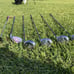 Cleveland Golf Launcher Womens golf Set Cougar Golf Bag Ladies Golf Iron set