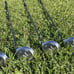 Cleveland Golf Launcher Womens golf Set Cougar Golf Bag Ladies Golf Iron set